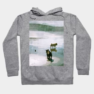 dog days Hoodie